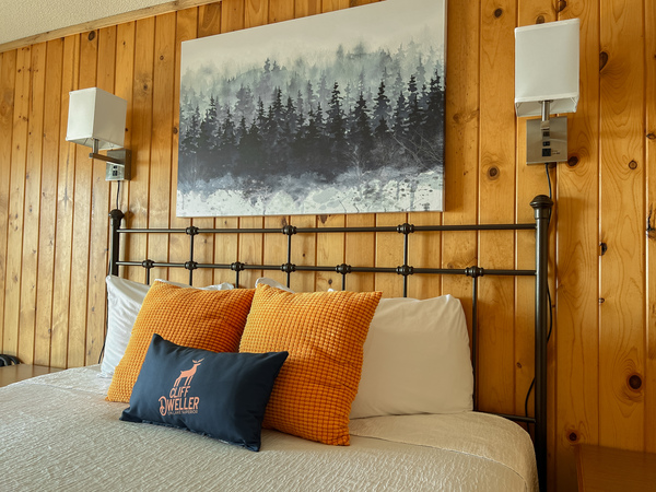 One King Bed Photo 6